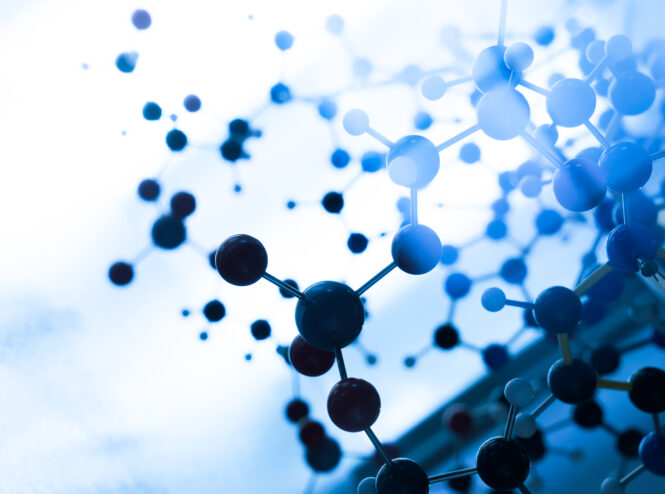 Biologia Molecolare e Genetica