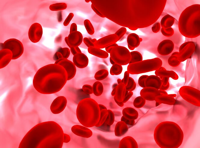 Esami del Sangue